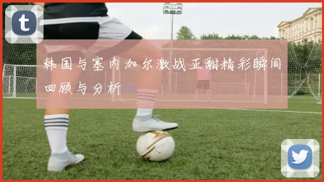 韩国与塞内加尔激战正酣精彩瞬间回顾与分析