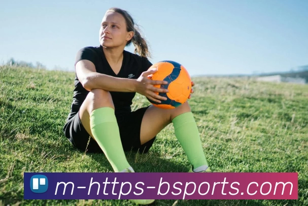 B体育平台生态图