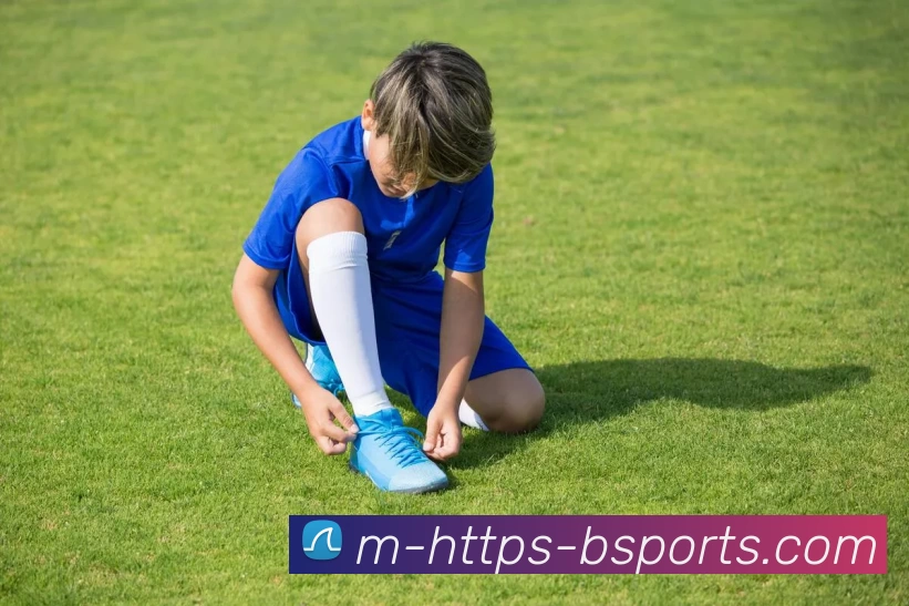 B体育APP 封面图